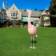 Illustration for article titled The Playboy Mansion As Youve Never Seen It
